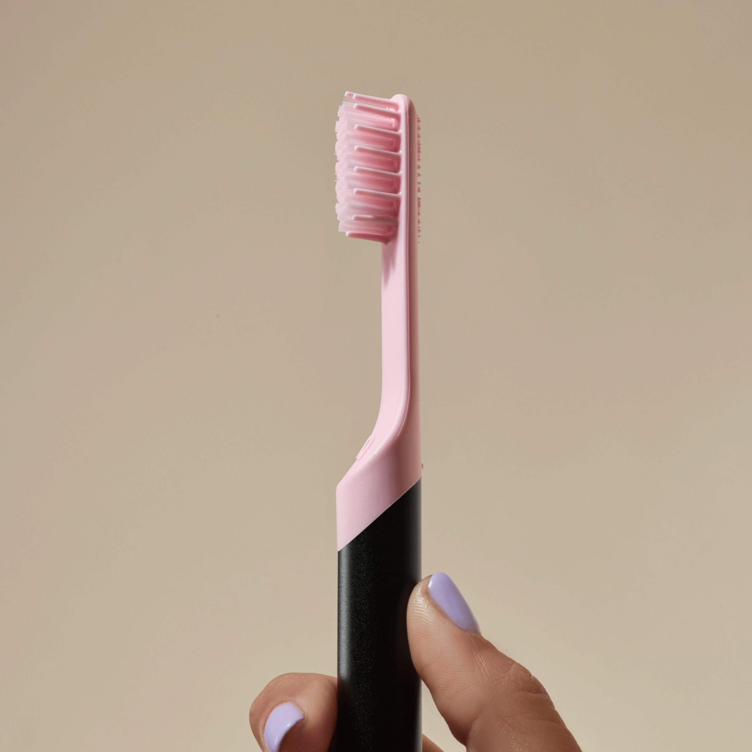 2501_DTC_SonicBrushRefill_2880x2880_Colors-5.gif
